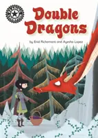 Šampión v čítaní: Dvojití draci - nezávislé čítanie 12 - Reading Champion: Double Dragons - Independent Reading 12