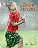Zmysly - The Senses