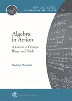 Algebra v praxi - kurz skupín, prstencov a polí - Algebra in Action - A Course in Groups, Rings, and Fields