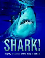 Žralok! - Mohutné tvory z hlbín v akcii! - Shark! - Mighty creatures of the deep in action!