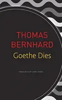 Goethe zomiera - Goethe Dies