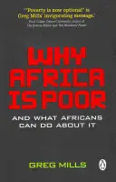 Prečo je Afrika chudobná - Why Africa is poor