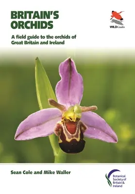 Britské orchidey: A Field Guide to the Orchids of Great Britain and Ireland (Terénny sprievodca orchideami Veľkej Británie a Írska) - Britain's Orchids: A Field Guide to the Orchids of Great Britain and Ireland