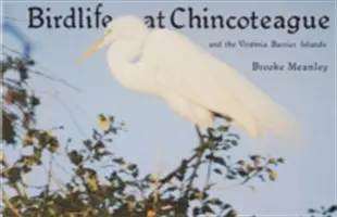 Vtáctvo na Chincoteague a na virginských bariérových ostrovoch - Birdlife at Chincoteague and the Virginia Barrier Islands