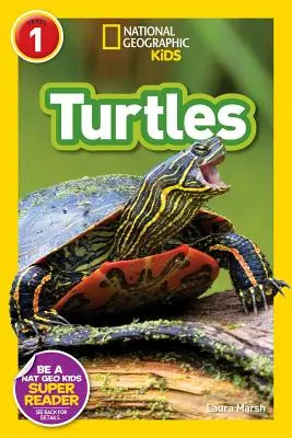 Želvy - Turtles