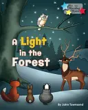 Svetlo v lese - Light in the Forest