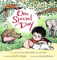 Jeden špeciálny deň: Príbeh pre veľkých bratov a sestry - One Special Day: A Story for Big Brothers and Sisters