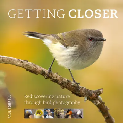 Priblíženie sa: Znovuobjavenie prírody prostredníctvom fotografovania vtákov - Getting Closer: Rediscovering Nature Through Bird Photography
