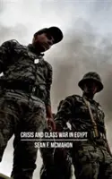 Kríza a triedny boj v Egypte: Sociálna reprodukcia, frakčné preskupenia a globálna politická ekonómia - Crisis and Class War in Egypt: Social Reproduction, Factional Realignments and the Global Political Economy