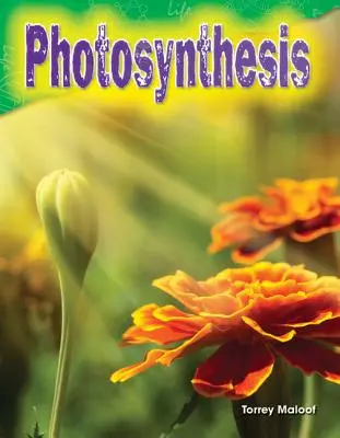 Fotosyntéza - Photosynthesis