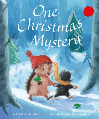 Jedno vianočné tajomstvo - One Christmas Mystery