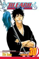 Bleach, zv. 30, 30 - Bleach, Vol. 30, 30