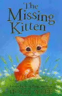 Chýbajúce mačiatko - Missing Kitten