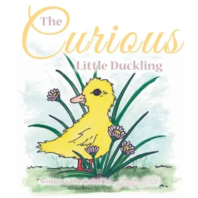 Zvedavé káčatko - The Curious Little Duckling