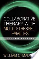 Terapia spoluprácou s mnohodetnými rodinami - Collaborative Therapy with Multi-Stressed Families