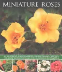 Miniatúrne ruže - Miniature Roses