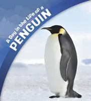 Deň v živote tučniaka - Day in the Life of a Penguin