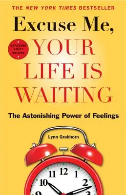 Prepáčte, váš život čaká: Úžasná sila pocitov - Excuse Me, Your Life Is Waiting: The Astonishing Power of Feelings