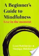 Sprievodca pre začiatočníkov v oblasti všímavosti: Sprievodca všímavosťou: Žiť v danom okamihu - A Beginner's Guide to Mindfulness: Live in the Moment