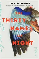 Tridsať mien noci - román - Thirty Names of Night - A Novel