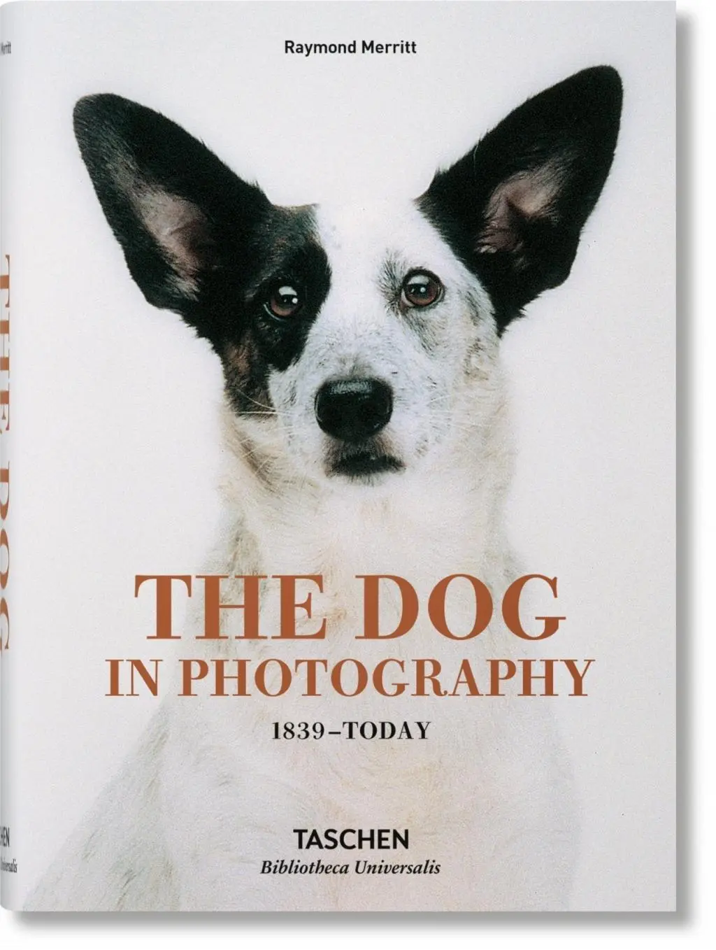 Pes vo fotografii 1839 - dnes - The Dog in Photography 1839-Today