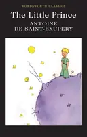 Malý princ - Little Prince