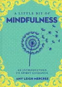 Trochu všímavosti, 13: Úvod do prítomnosti - A Little Bit of Mindfulness, 13: An Introduction to Being Present
