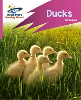 Čítacia planéta: Rocket Phonics - Target Practice - Ducks - Pink B - Reading Planet: Rocket Phonics - Target Practice - Ducks - Pink B