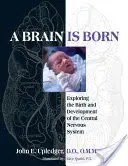 Zrod mozgu: skúmanie zrodu a vývoja centrálnej nervovej sústavy - A Brain Is Born: Exploring the Birth and Development of the Central Nervous System