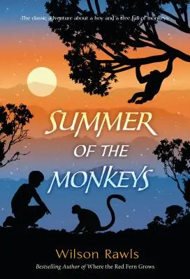 Leto opíc - Summer of the Monkeys