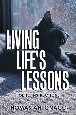 Životné lekcie: Poetické inštrukcie - Living Life's Lessons: Poetic Instructions
