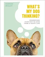 Na čo myslí môj pes? - Pochopte svojho psa a doprajte mu šťastný život - What's My Dog Thinking? - Understand Your Dog to Give Them a Happy Life