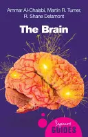 Mozog - The Brain
