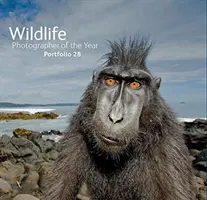 Fotograf divokej prírody roka: Portfólio 28 - Wildlife Photographer of the Year: Portfolio 28