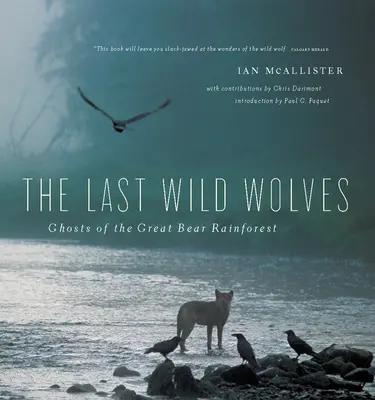 Poslední divokí vlci: Prízraky dažďového pralesa - The Last Wild Wolves: Ghosts of the Rain Forest