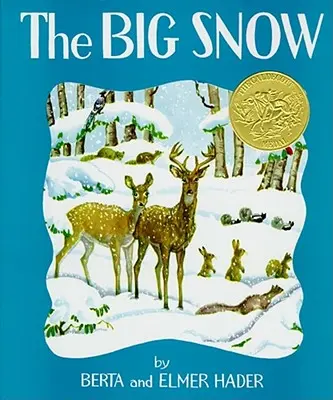 Veľký sneh - The Big Snow