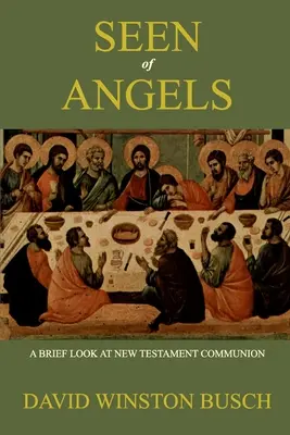 Vidieť anjelov - Seen of Angels