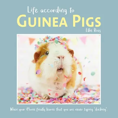 Život podľa morčiat - Life According to Guinea Pigs