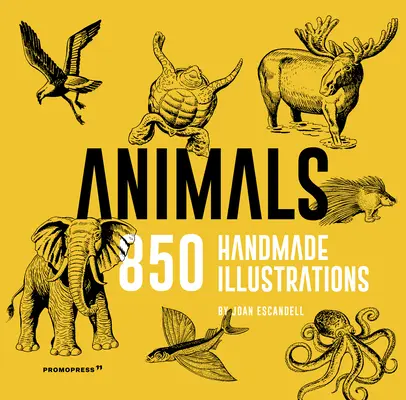 Zvieratá: 850 ručne vyrobených ilustrácií - Animals: 850 Handmade Illustrations