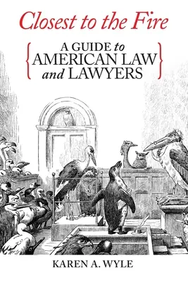 Najbližšie k ohňu: Sprievodca americkým právom a právnikmi - Closest to the Fire: A Guide to American Law and Lawyers