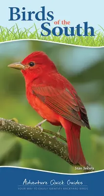 Vtáky juhu: Vaša cesta k jednoduchému určovaniu vtákov na dvore - Birds of the South: Your Way to Easily Identify Backyard Birds