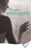 Sklenený zverinec - Glass Menagerie