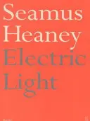 Elektrické svetlo - Electric Light