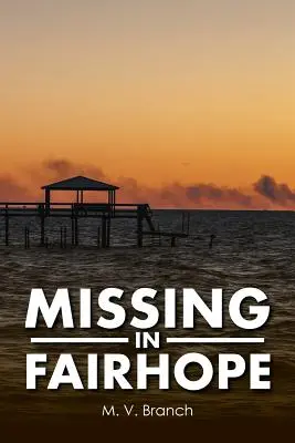 Nezvestný vo Fairhope - Missing in Fairhope
