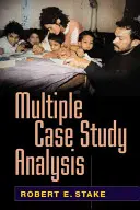 Analýza viacerých prípadových štúdií - Multiple Case Study Analysis