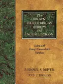 Brown-Driver-Briggsov hebrejský a anglický lexikón - The Brown-Driver-Briggs Hebrew and English Lexicon