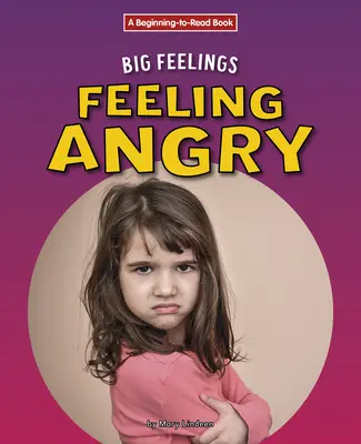 Pocit hnevu - Feeling Angry