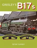 Gresleyho B17 - Gresley's B17s