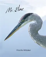Pán Modrý - Mr. Blue