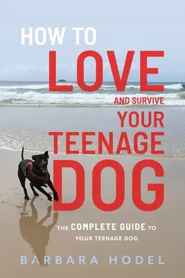 Ako milovať a prežiť svojho dospievajúceho psa - How to Love and Survive Your Teenage Dog